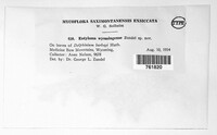 Image Associated With the Occurence